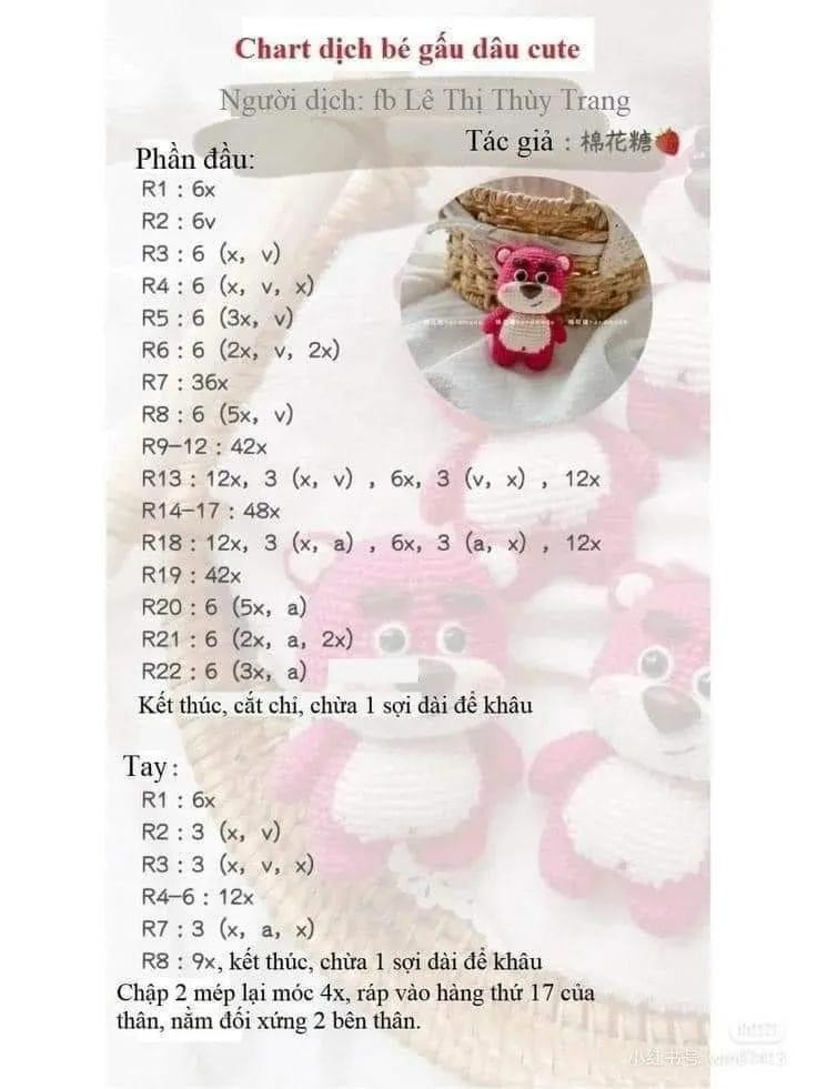 chart dịch bé gấu dâu cute, gấu lotso