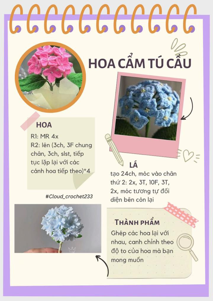 chart hoa: anh túc, chuông len, cẩm tú cầu, cúc họa mi,