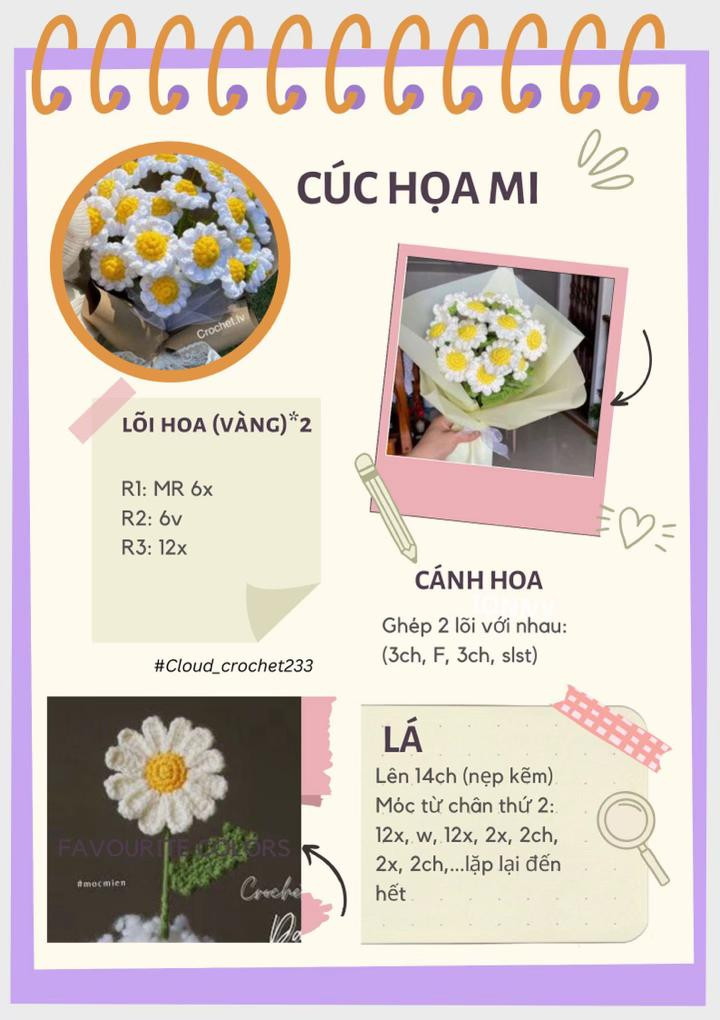 chart hoa: anh túc, chuông len, cẩm tú cầu, cúc họa mi,