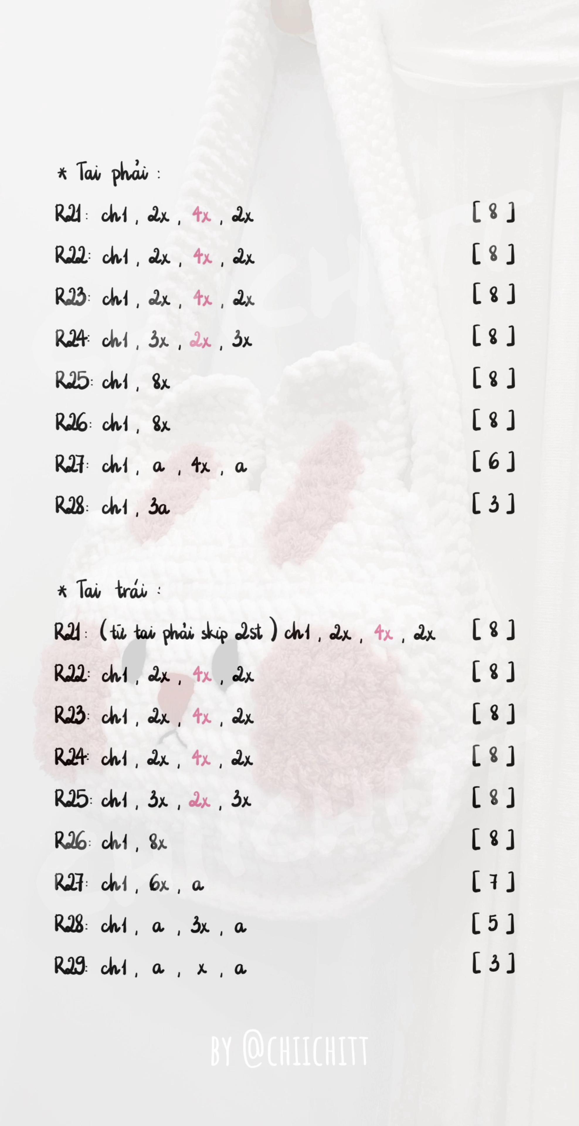 Chart túi thỏ