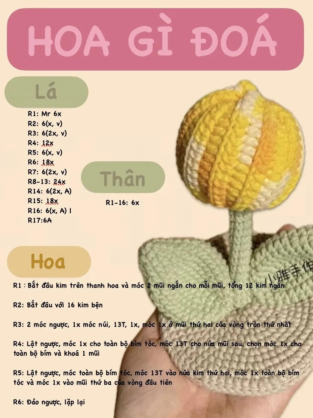 hoa gì đóa