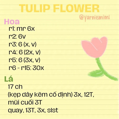 hoa tulip 🌷