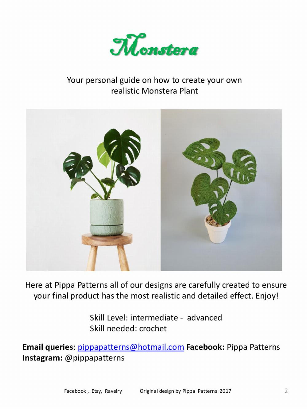 Monstera Pattern and instructions