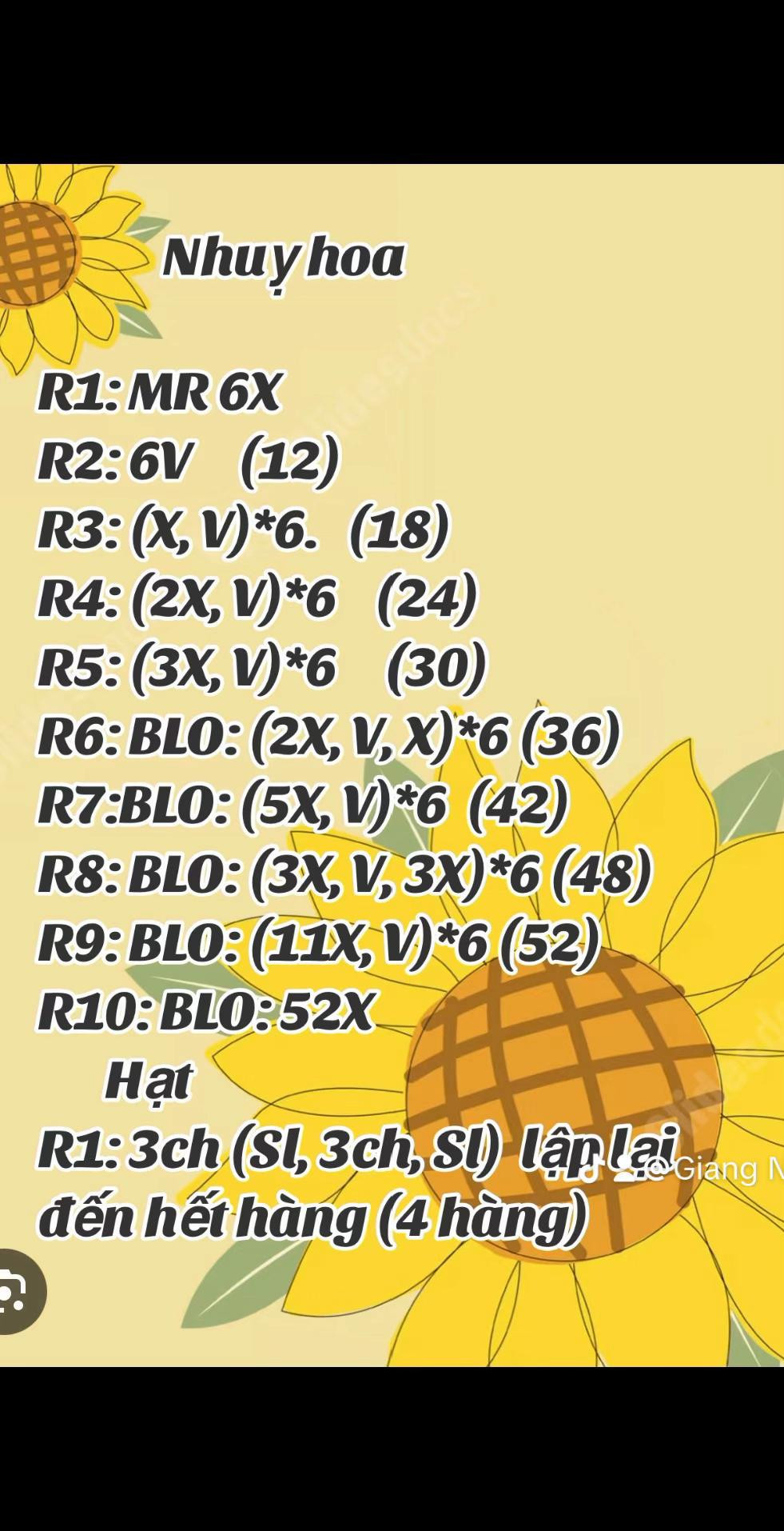 Cách chart hoa hướng dương