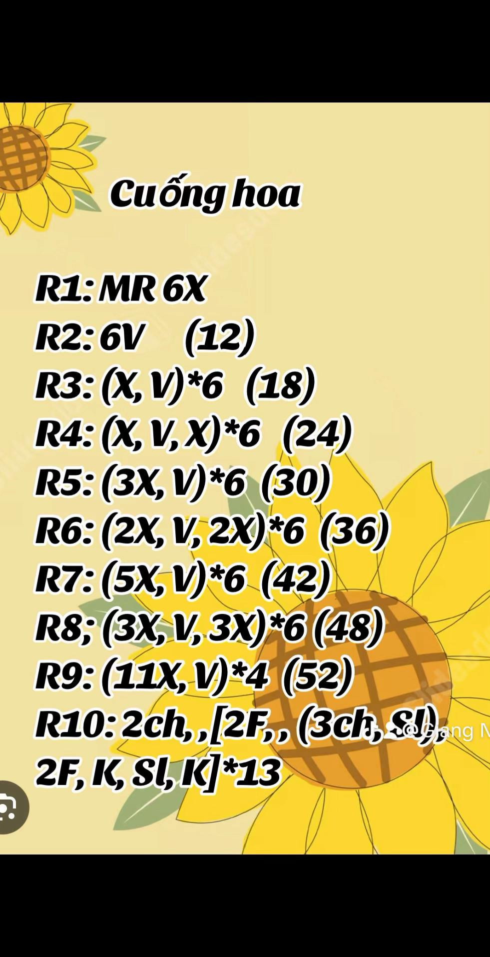 Cách chart hoa hướng dương