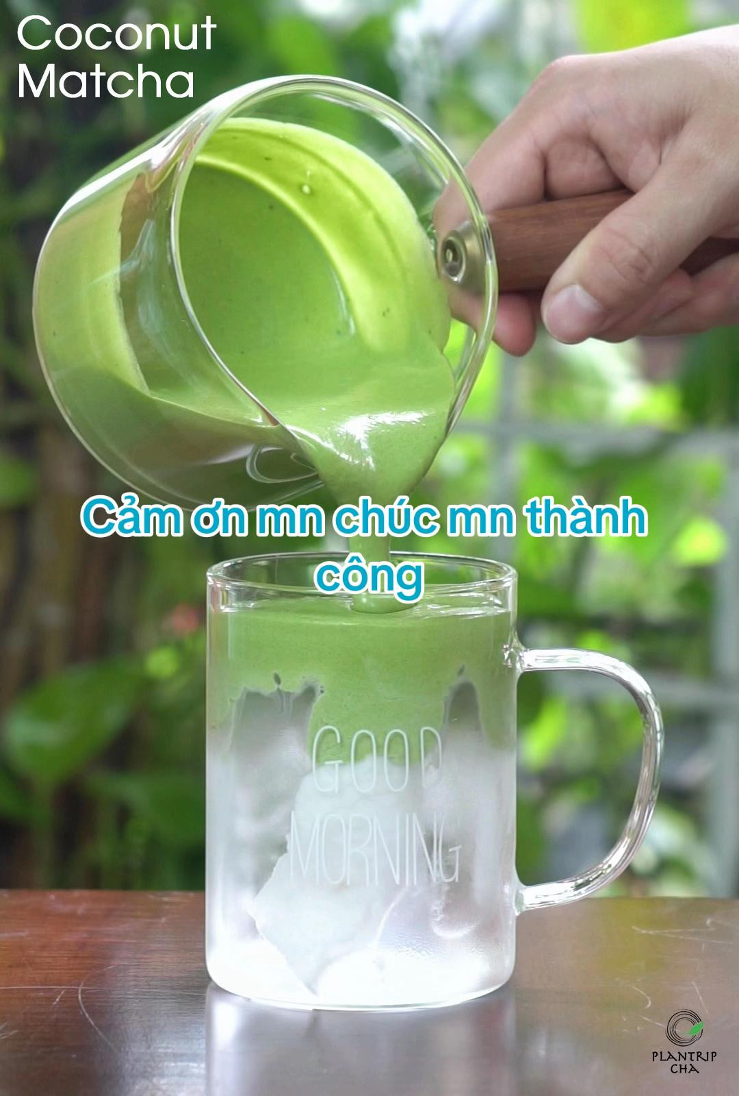 CÁCH LÀM NƯỚC DỪA MATCHA SIÊU NGON HOT HIT TẠI NHÀ