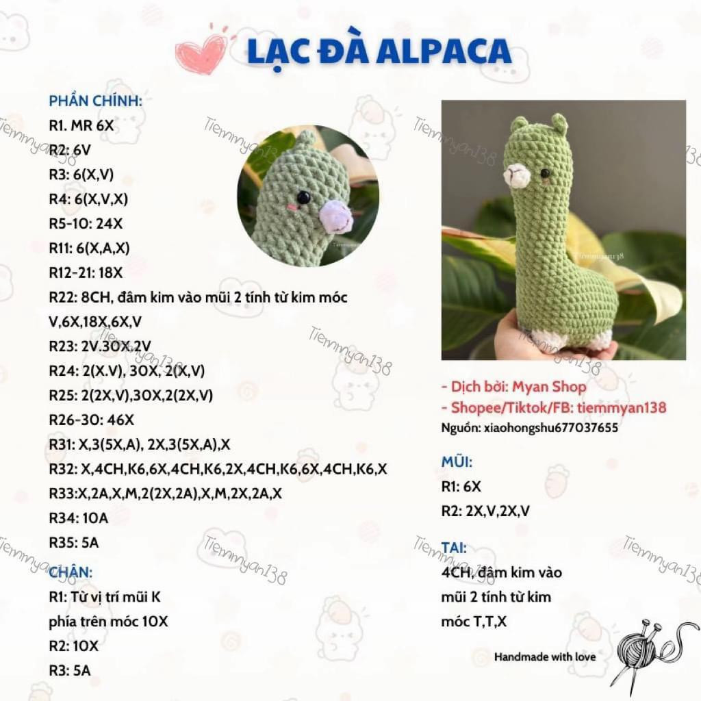 Chart lạc đà Alpaca xanh, mõm trắng.