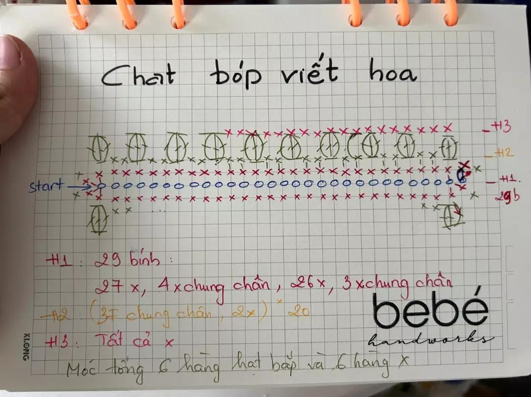 chart túi hạt bắp