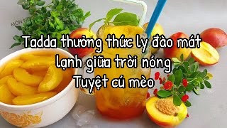 Công thức làm đào ngâm giòn.