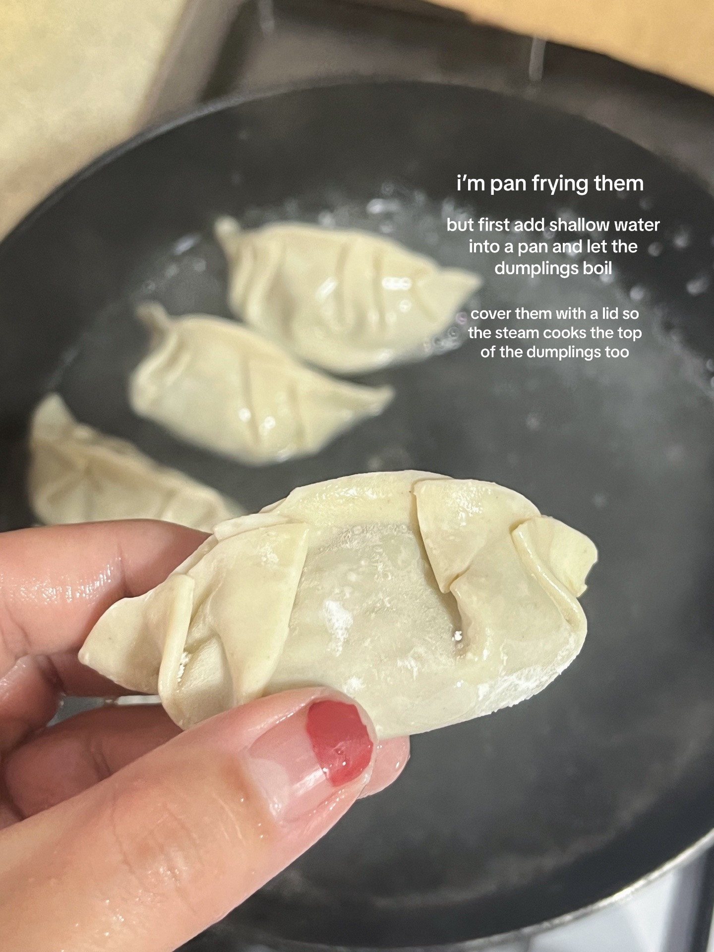 make pork dumplings