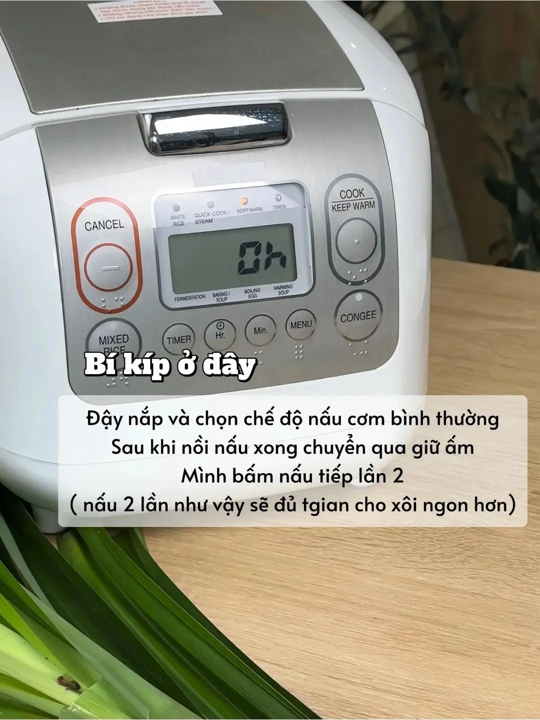 bí kíp nấu xôi lá dứa bằng nồi cơm điện