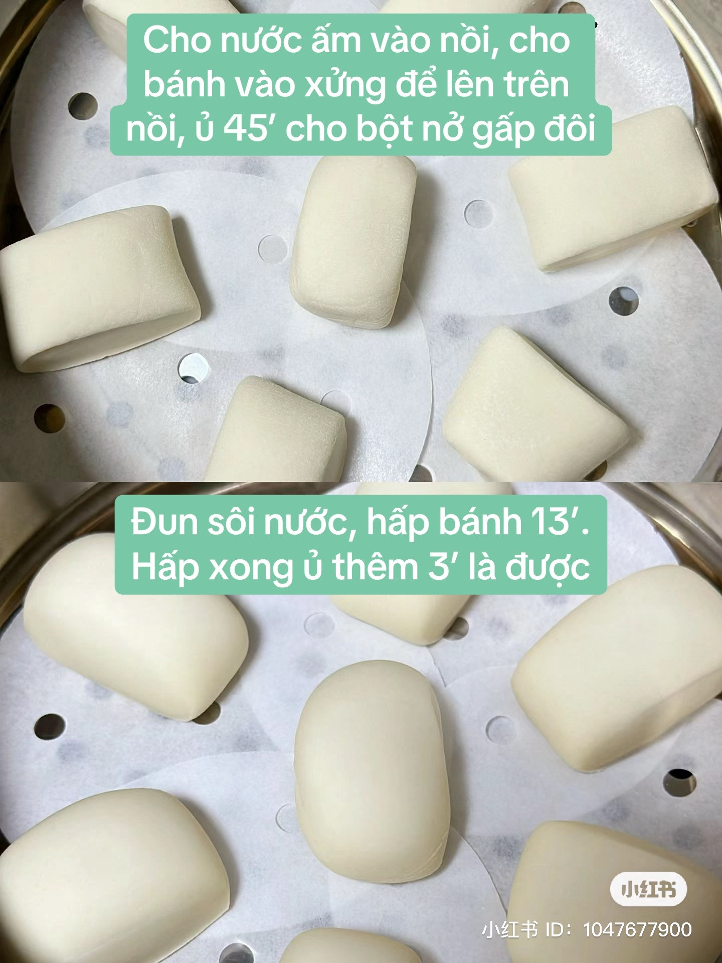 Cách làm bánh bao chay thơm ngon mềm xốp