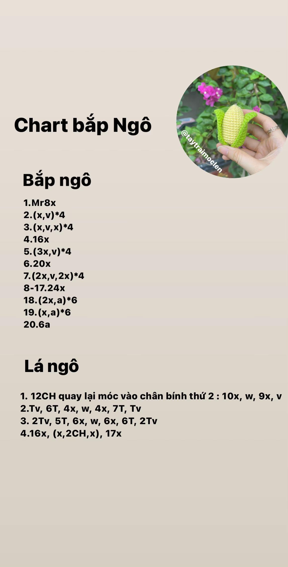 Chart bắp ngô mini 🌽