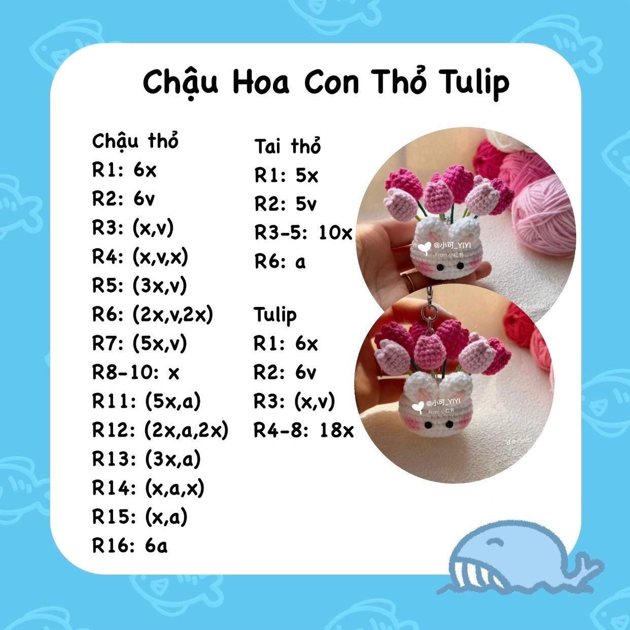 Chart Chậu Hoa Con Thỏ Tulip 🌷