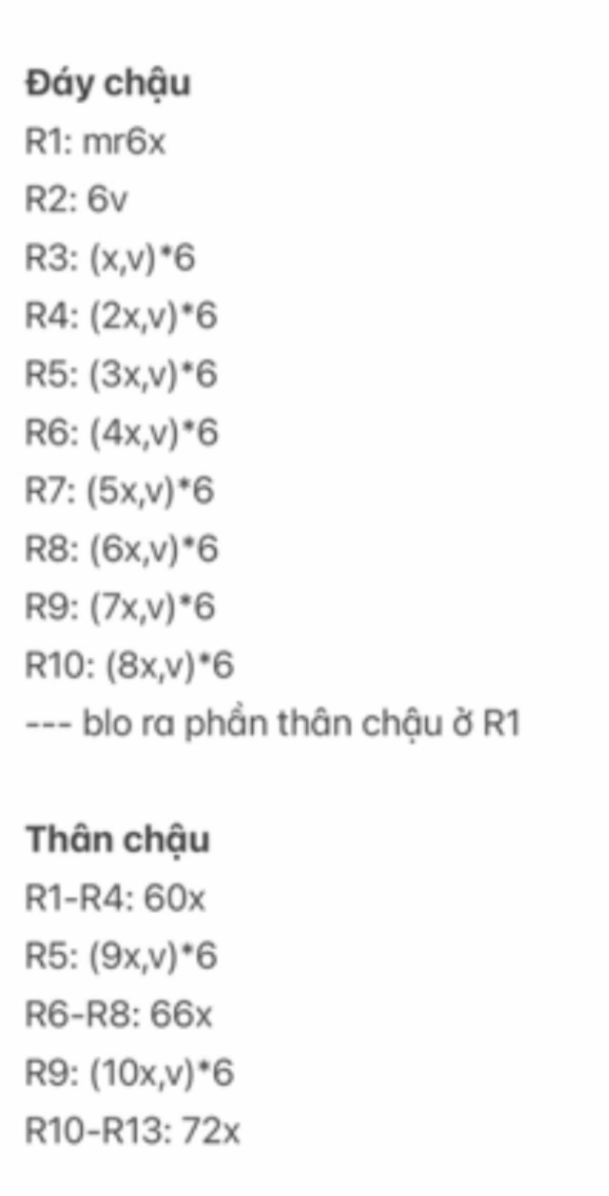 Chart móc chậu cây xương rồng để bàn