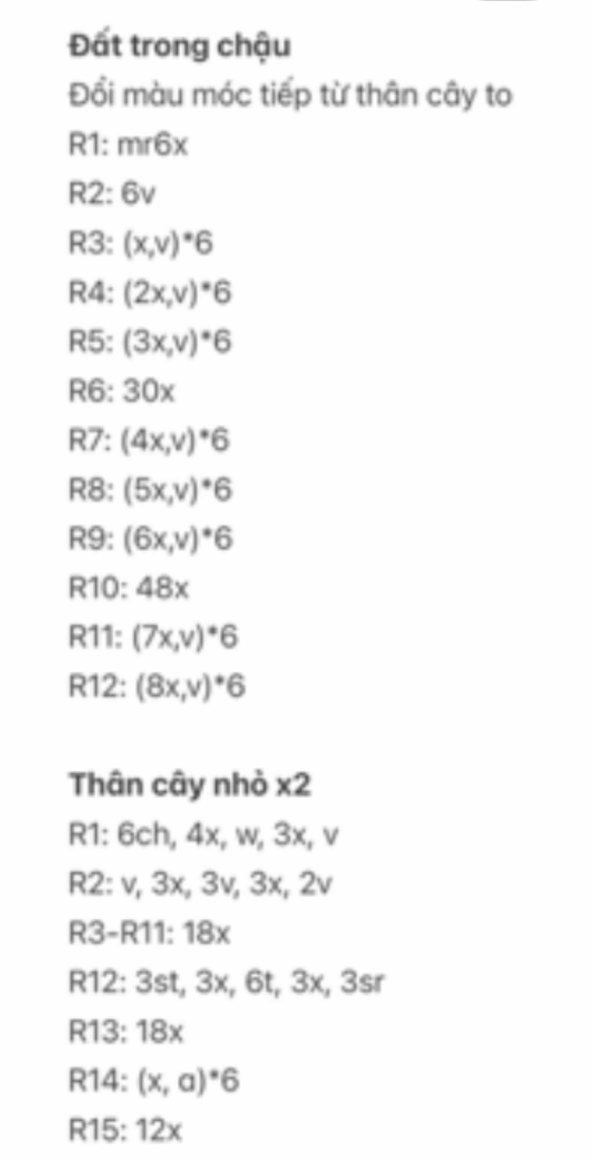 Chart móc chậu cây xương rồng để bàn