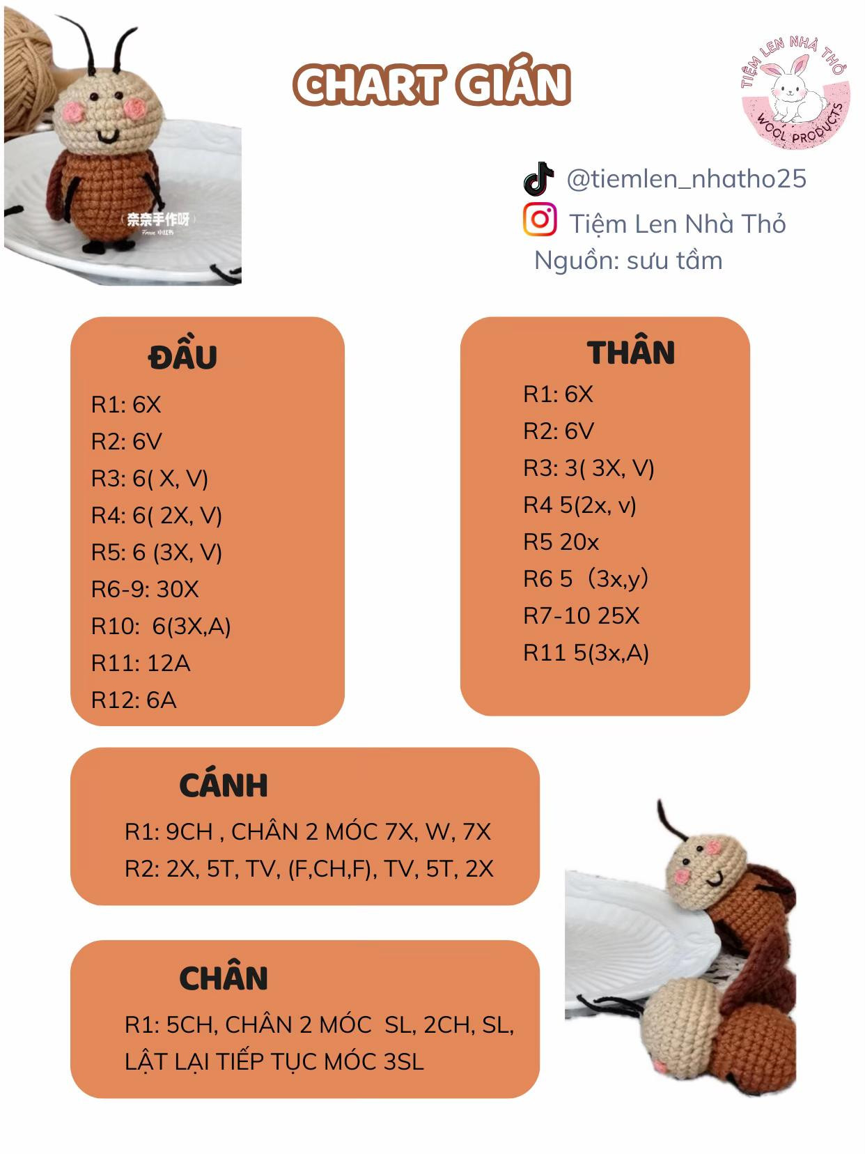 Chart móc len con gián