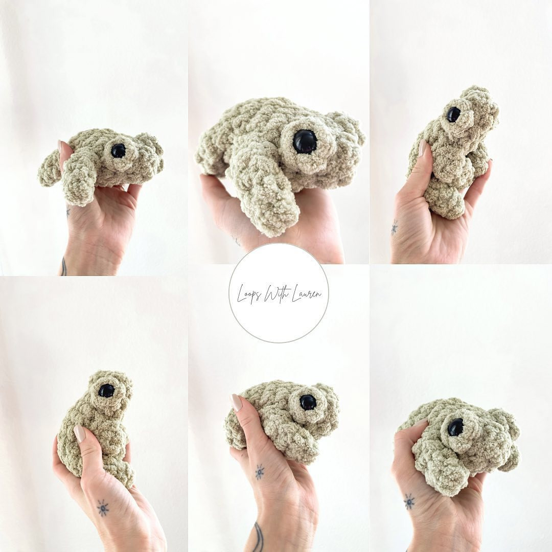 fern the lazy frog free pattern