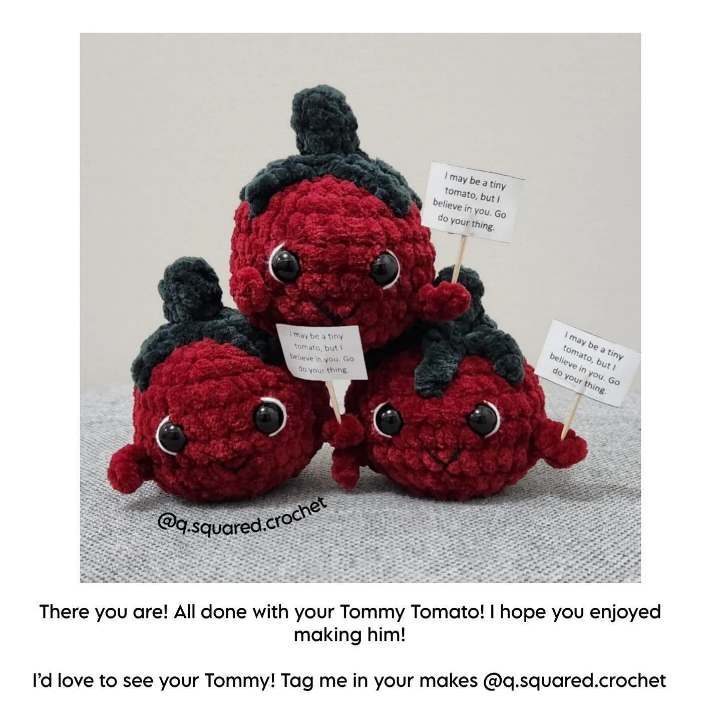 free no sew tommy tomato crochet pattern