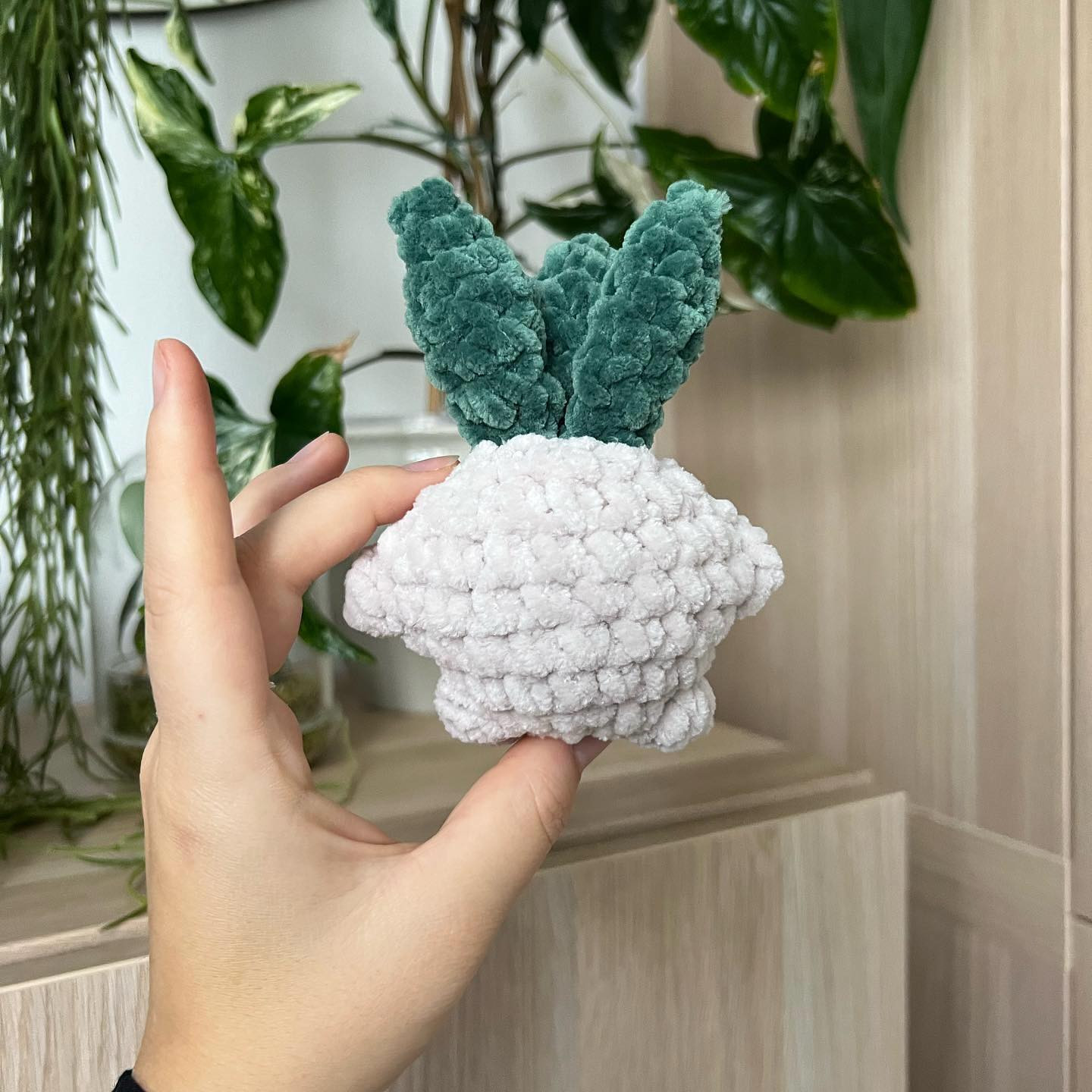 free pattern baby mandrake