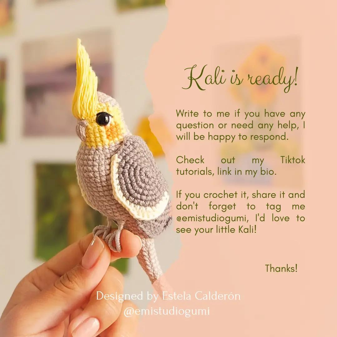 free pattern cockatiel kali bird