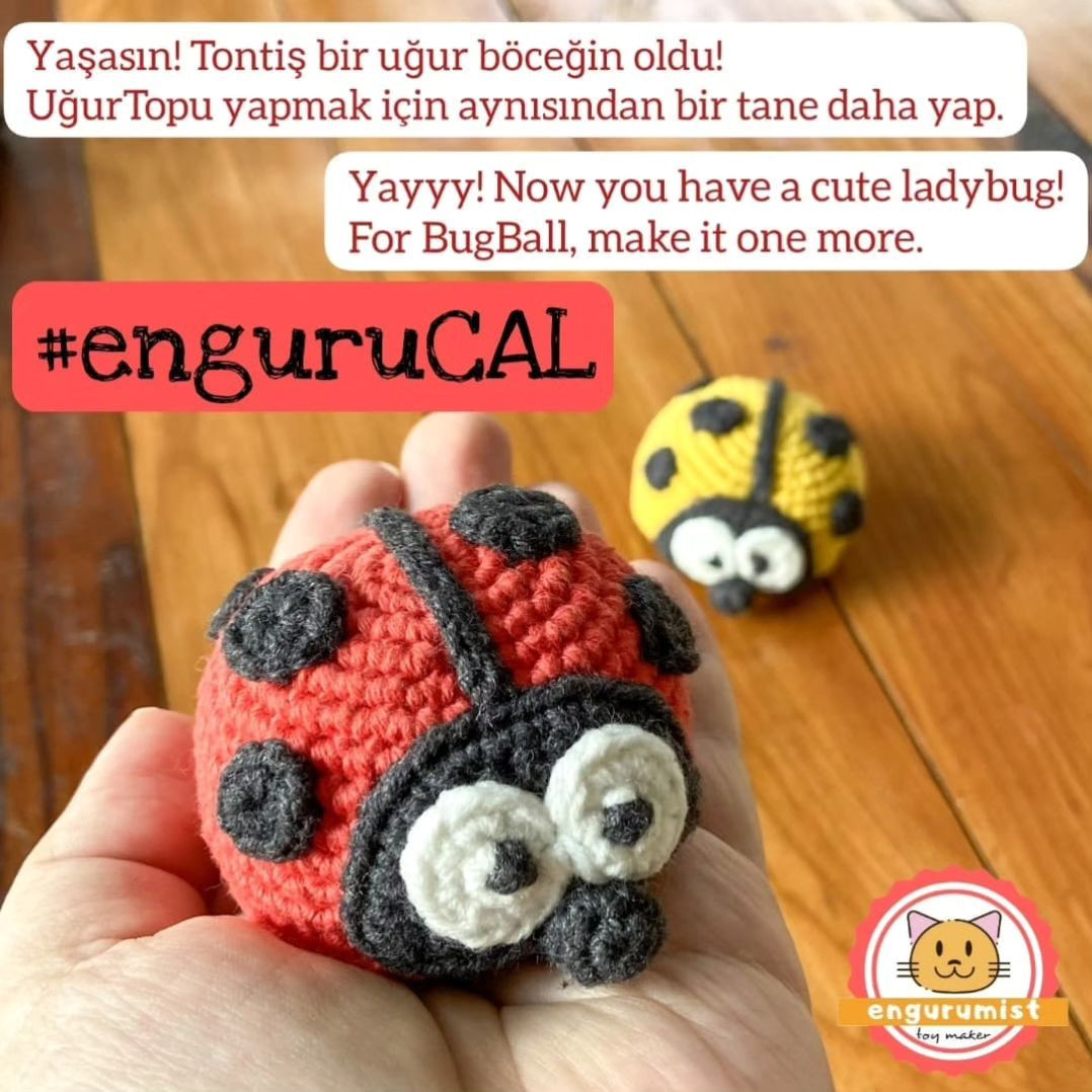 ladybug 🐞Free crochet pattern