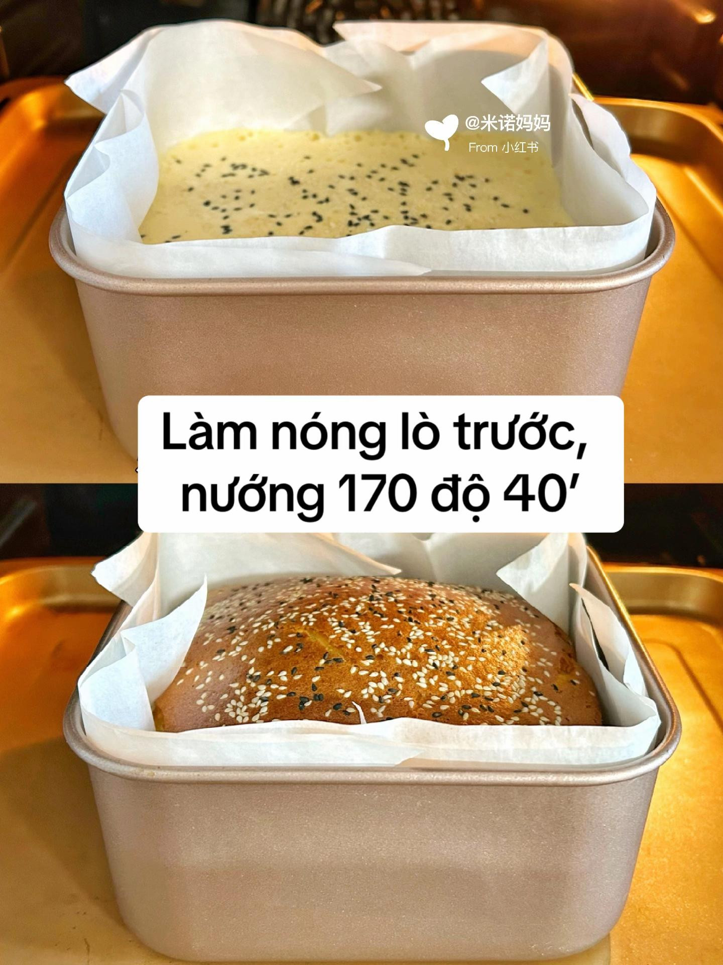 Làm bánh bông lan mật ong dậy lên hương vị tuổi thơ 🍯🍯