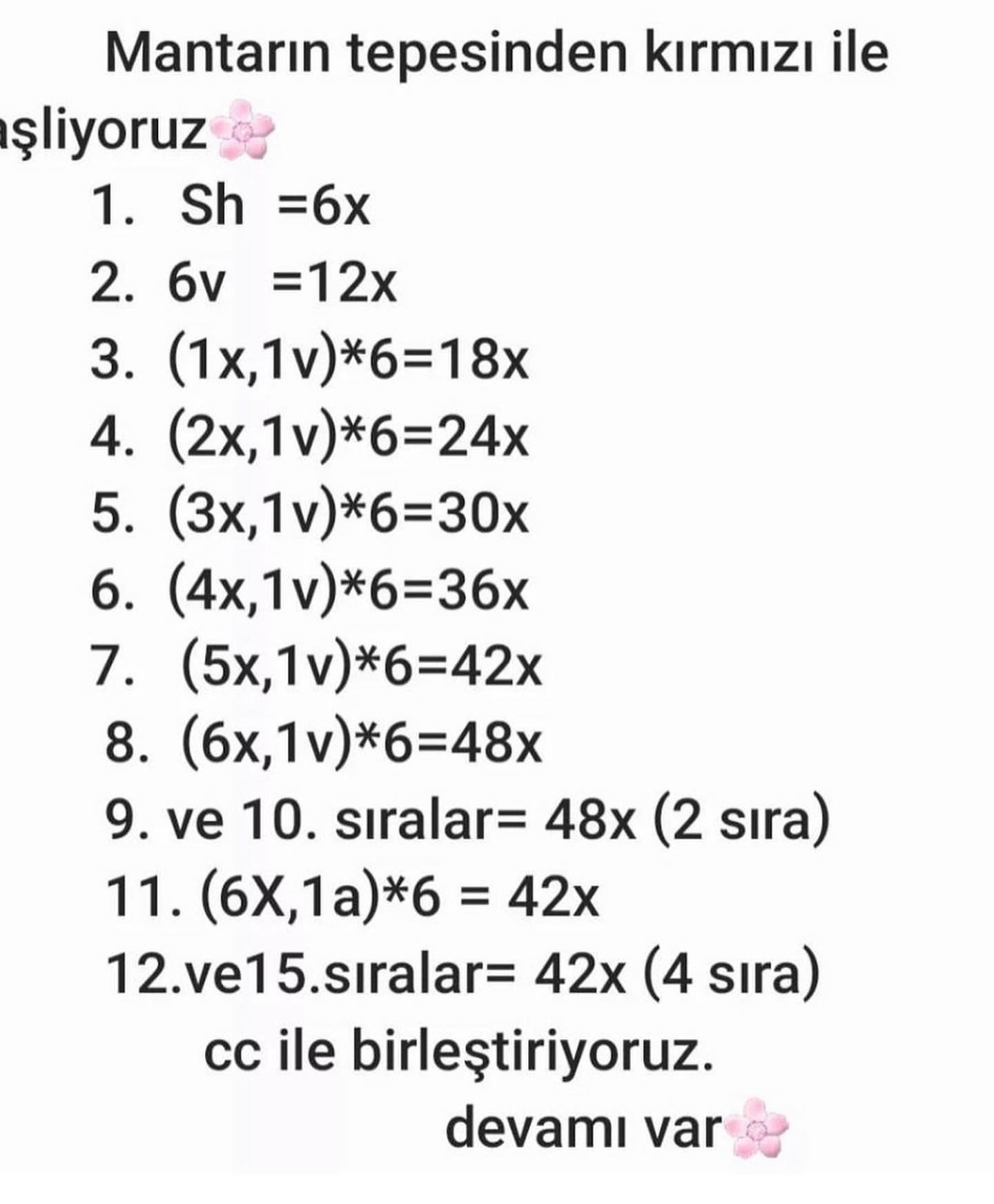 Mantar ev tığ işi modeli