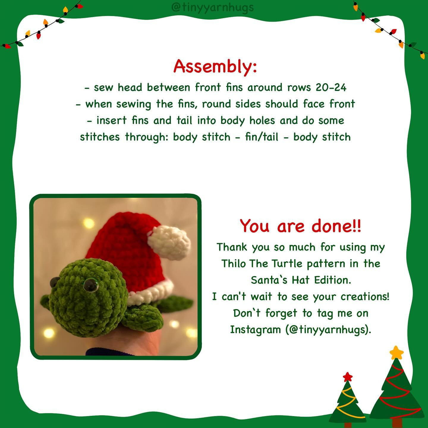 Meet Thilo the turtle in the Santa hat edition