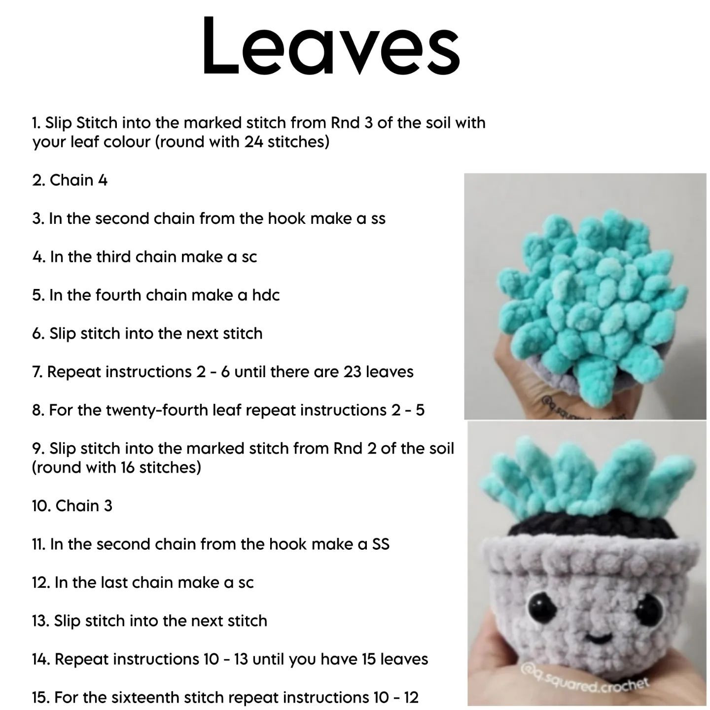 no sew sage the succulent crochet pattern