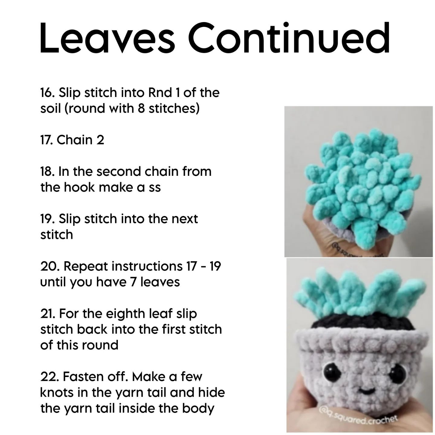 no sew sage the succulent crochet pattern