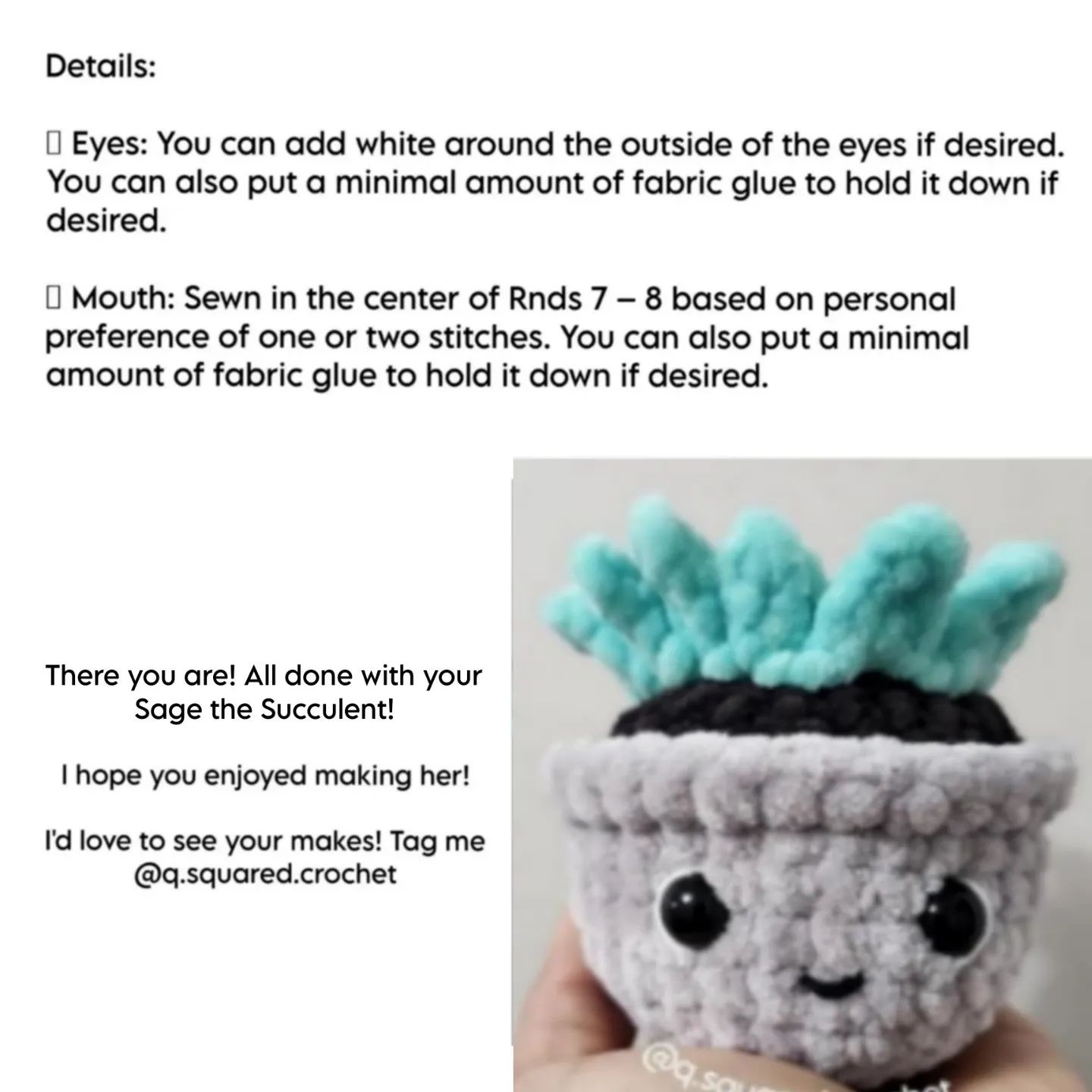 no sew sage the succulent crochet pattern