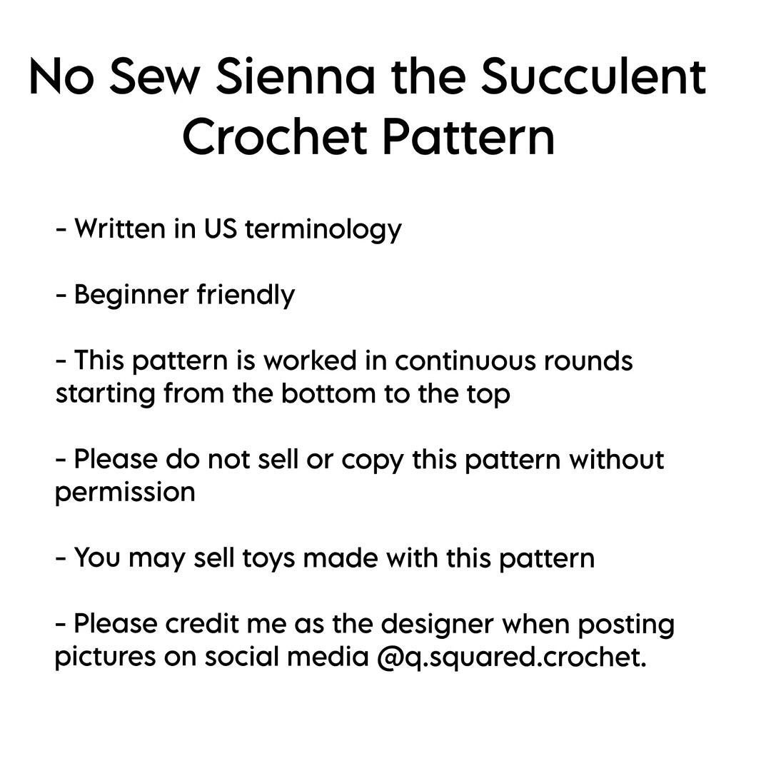 no sew sienna the succulent crochet pattern