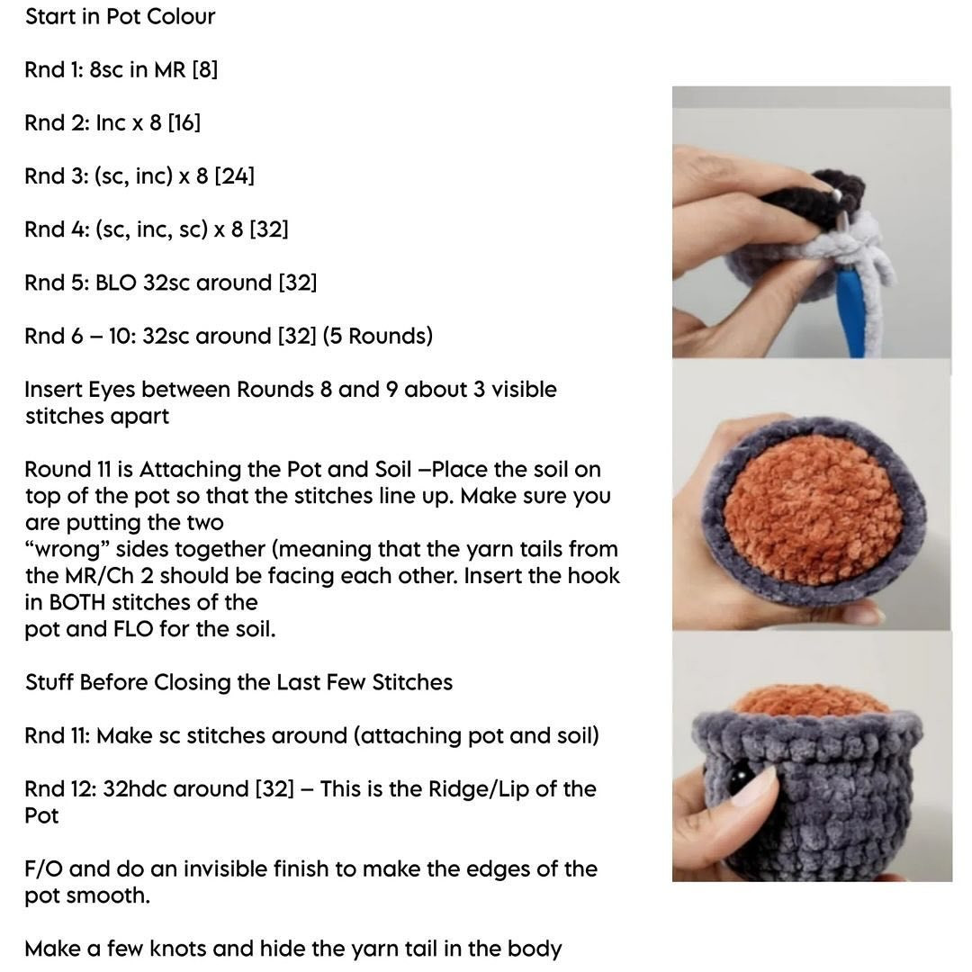 no sew sienna the succulent crochet pattern