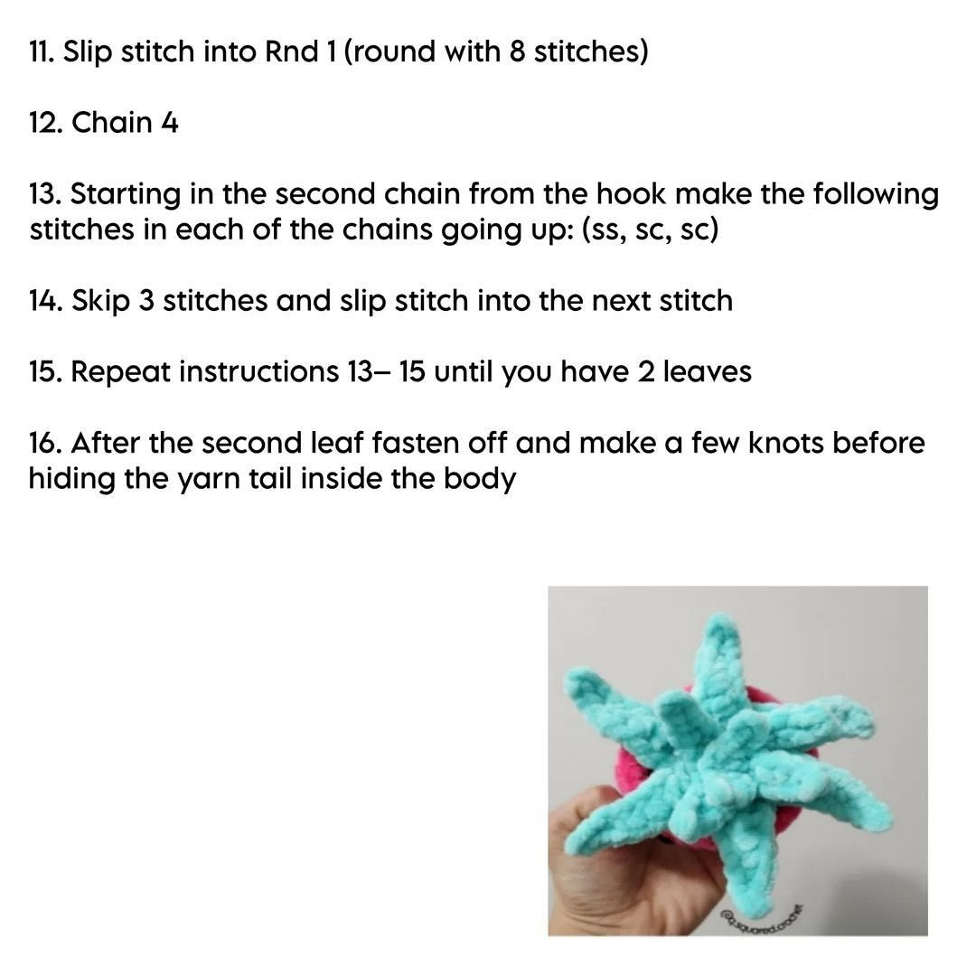 no sew sienna the succulent crochet pattern