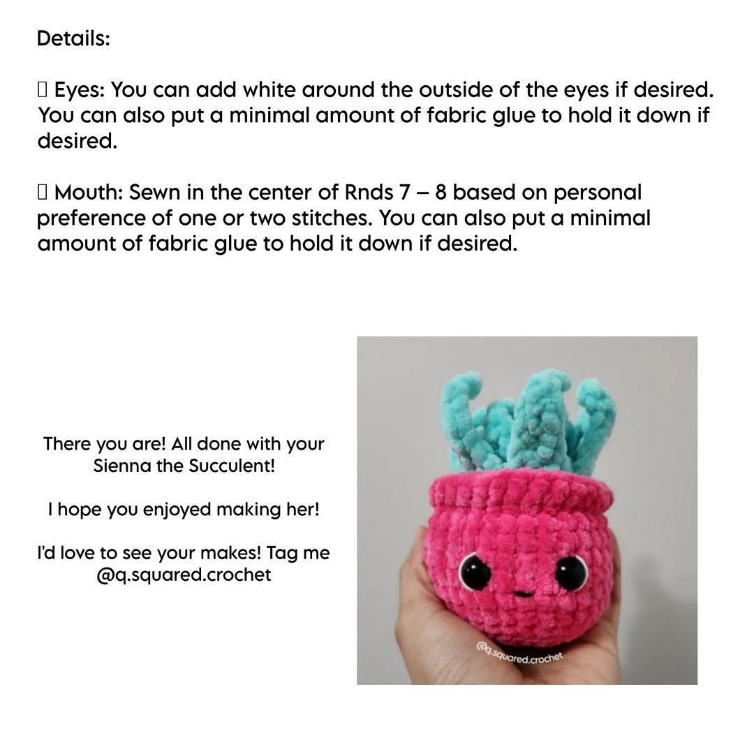 no sew sienna the succulent crochet pattern