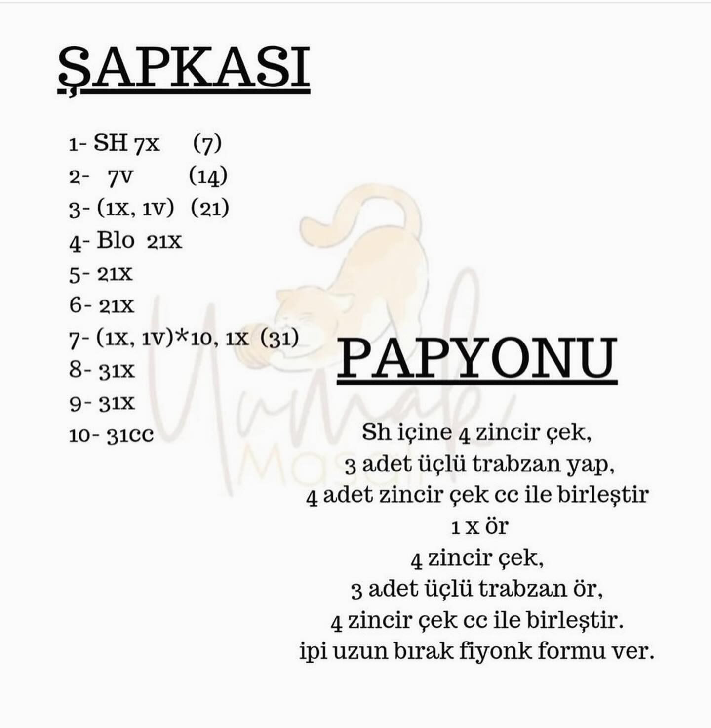 Papyonlu şapka takan kaplumbağa için tığ işi modeli