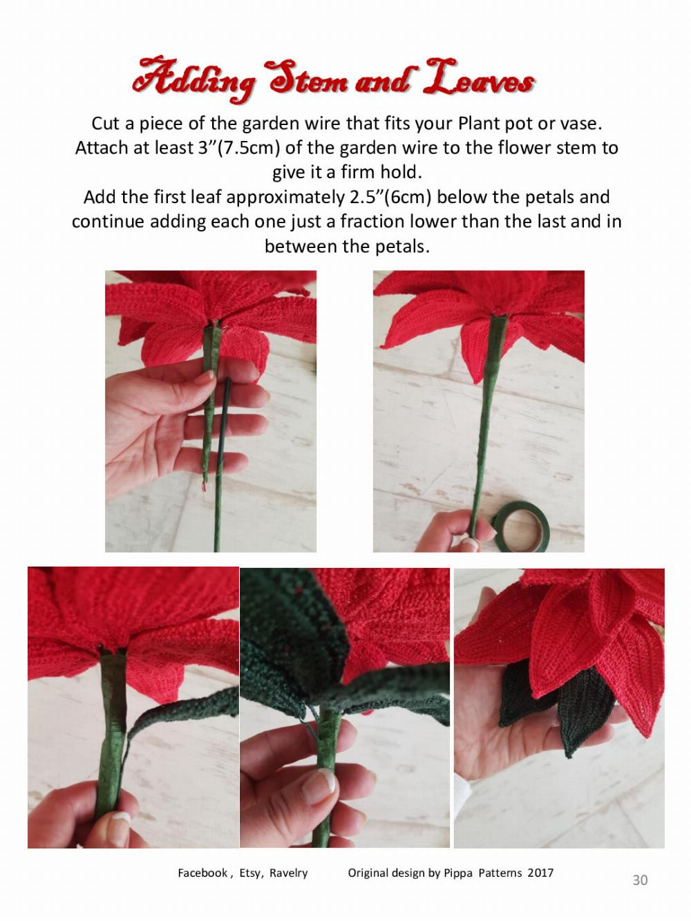 Poinsettia Pattern and instructions