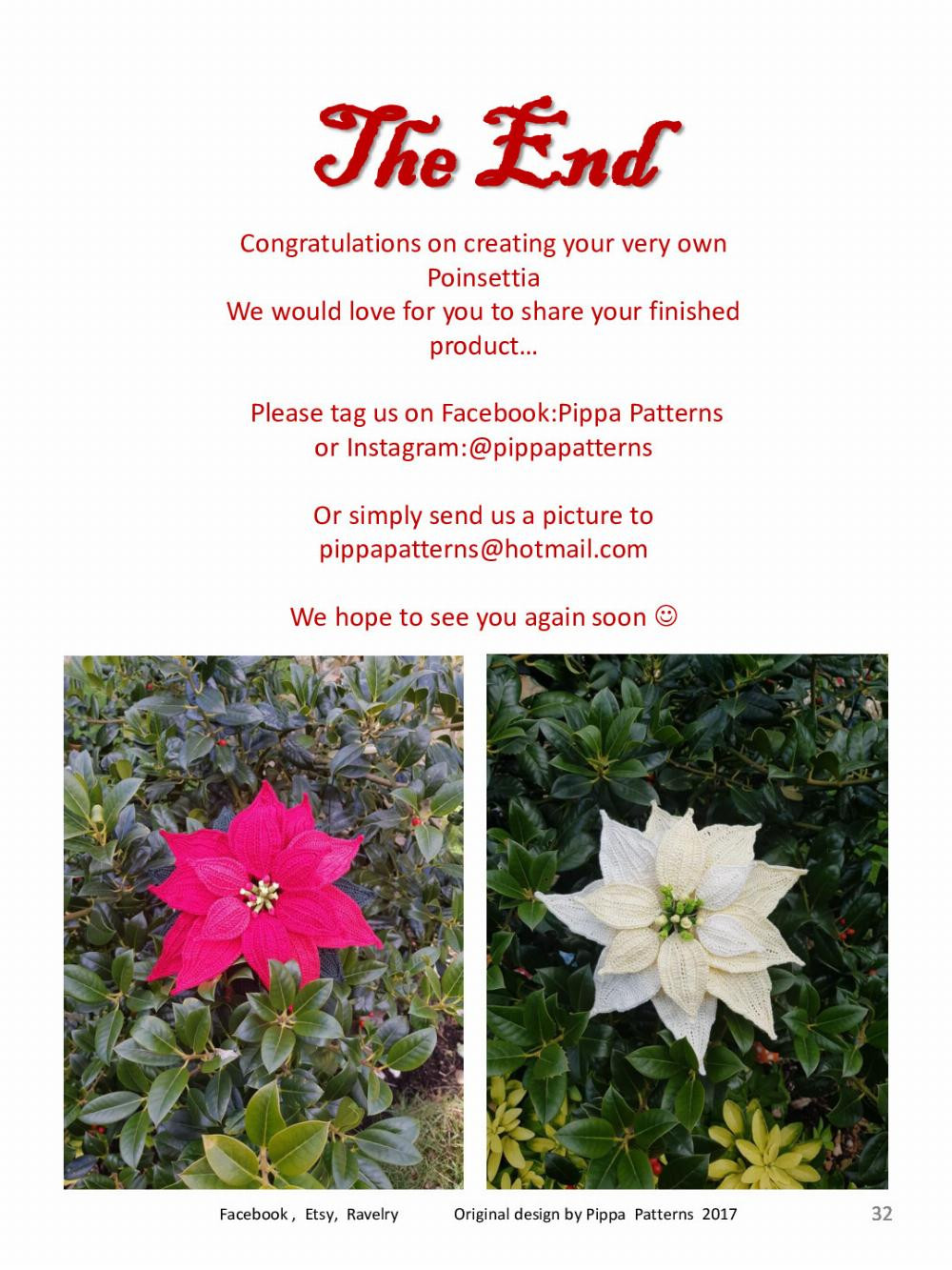 Poinsettia Pattern and instructions