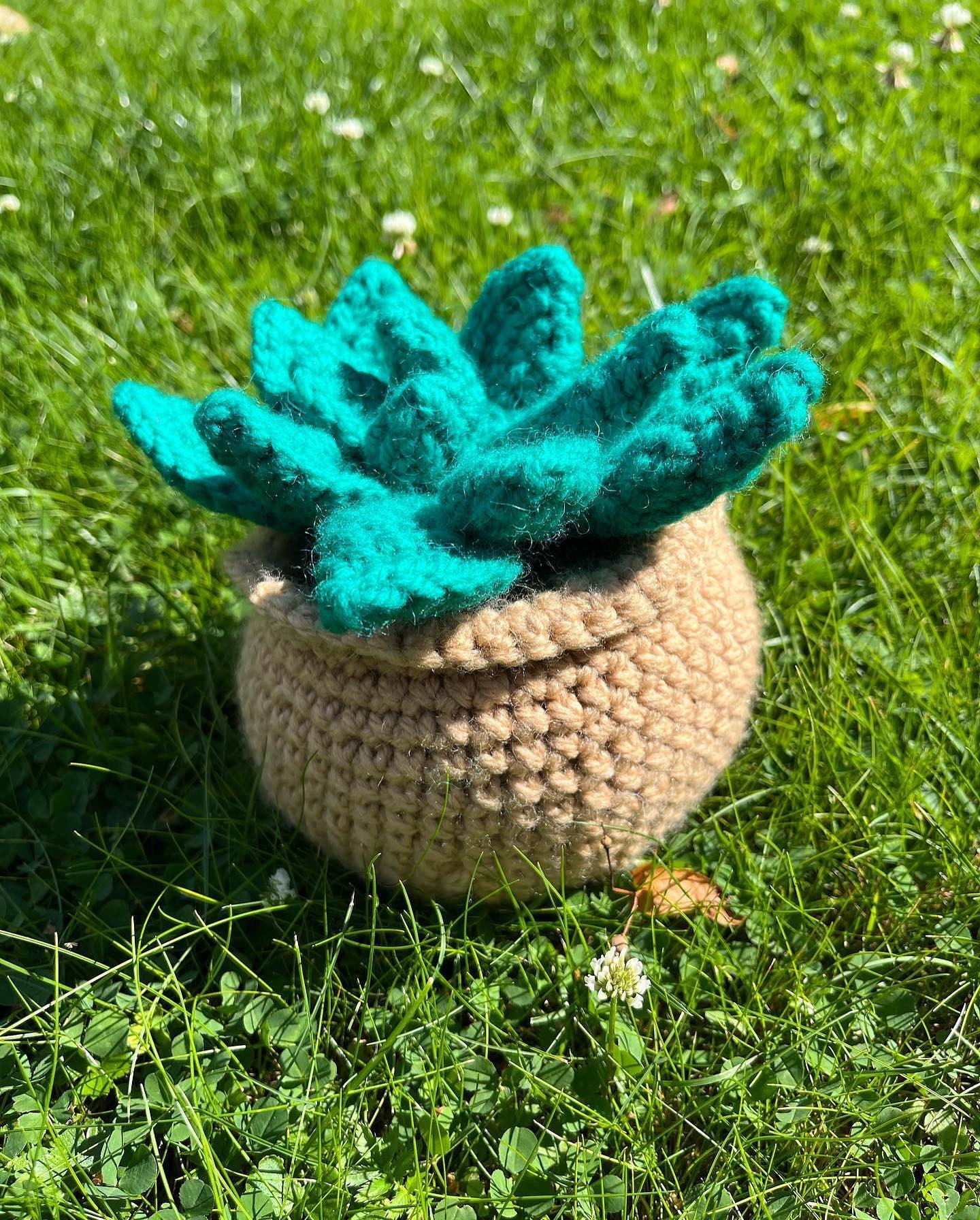 Succulent plant crochet pattern: