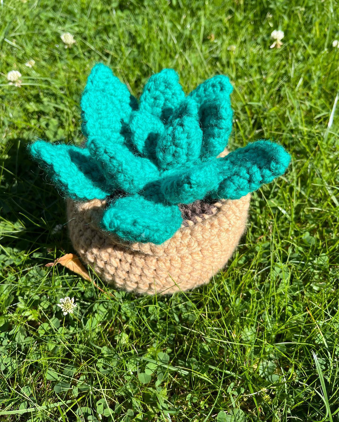 Succulent plant crochet pattern: