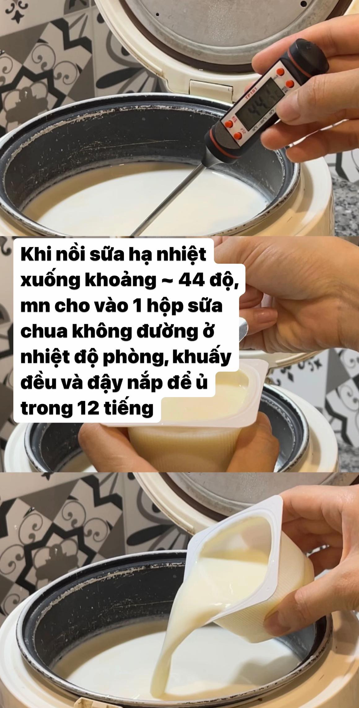 tự làm sữa chua không đường tại nhà chưa bao giờ dễ đến vậy.