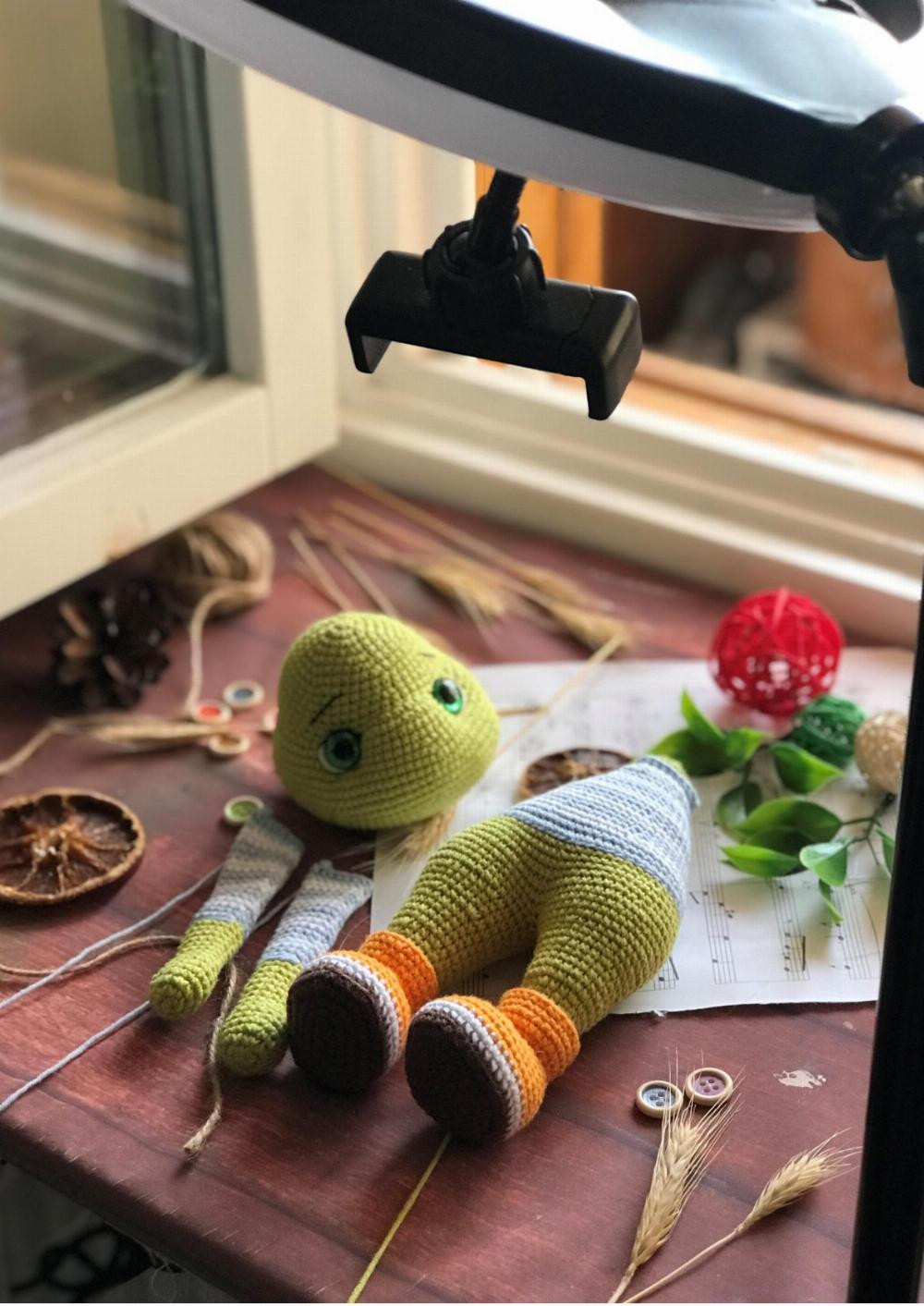 CROCHET PATTERN PASCAL the TURTLE