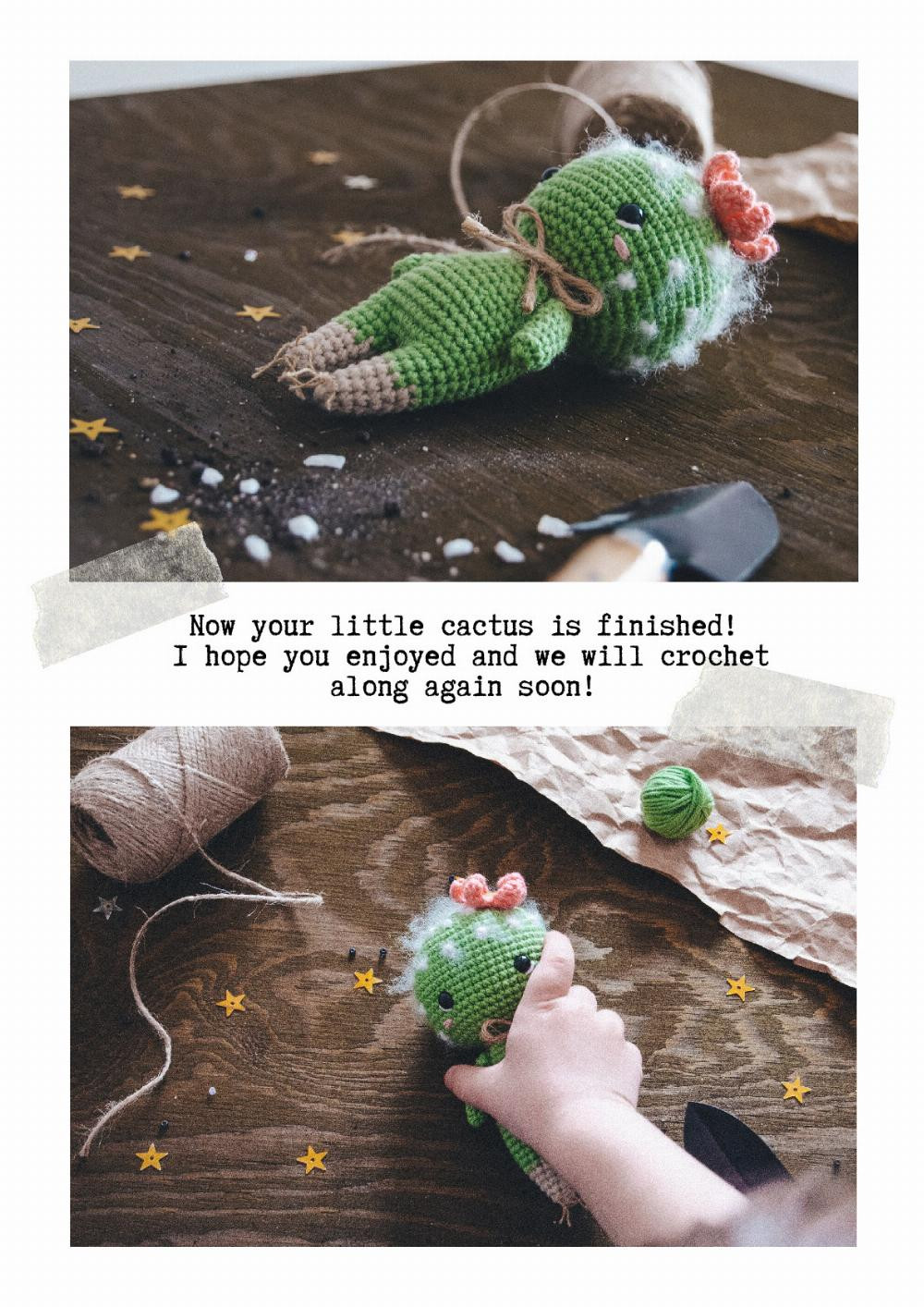 Crochet toy pattern LITTLE CUTE CACTUS