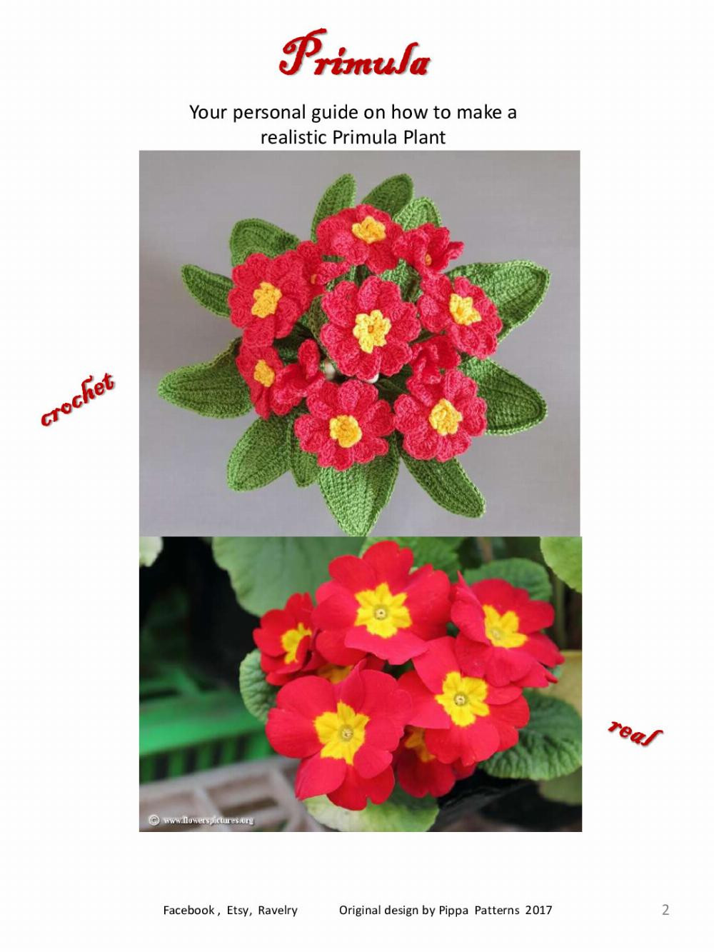 Primula Pattern and Instructions