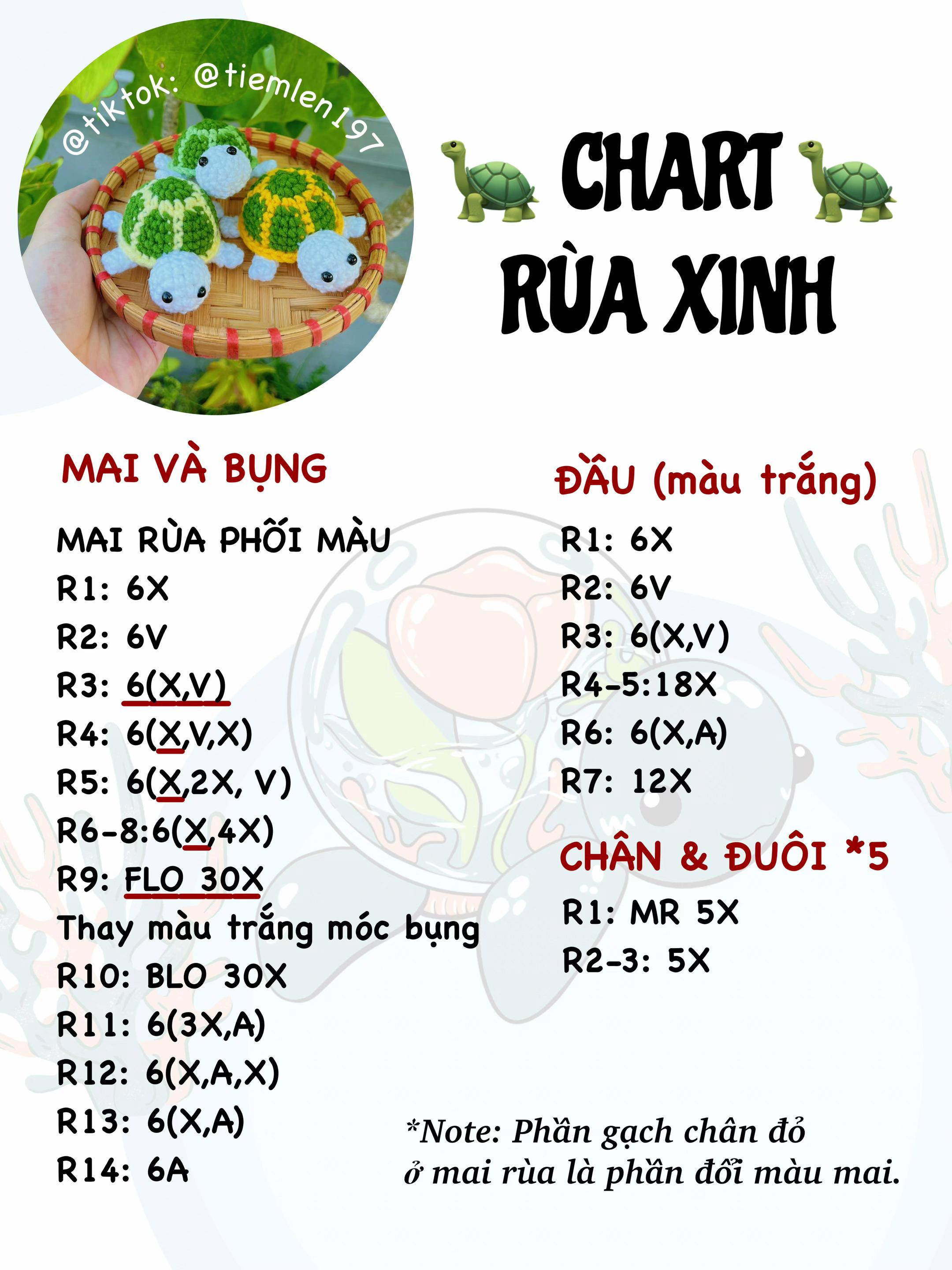 chart rùa xinh