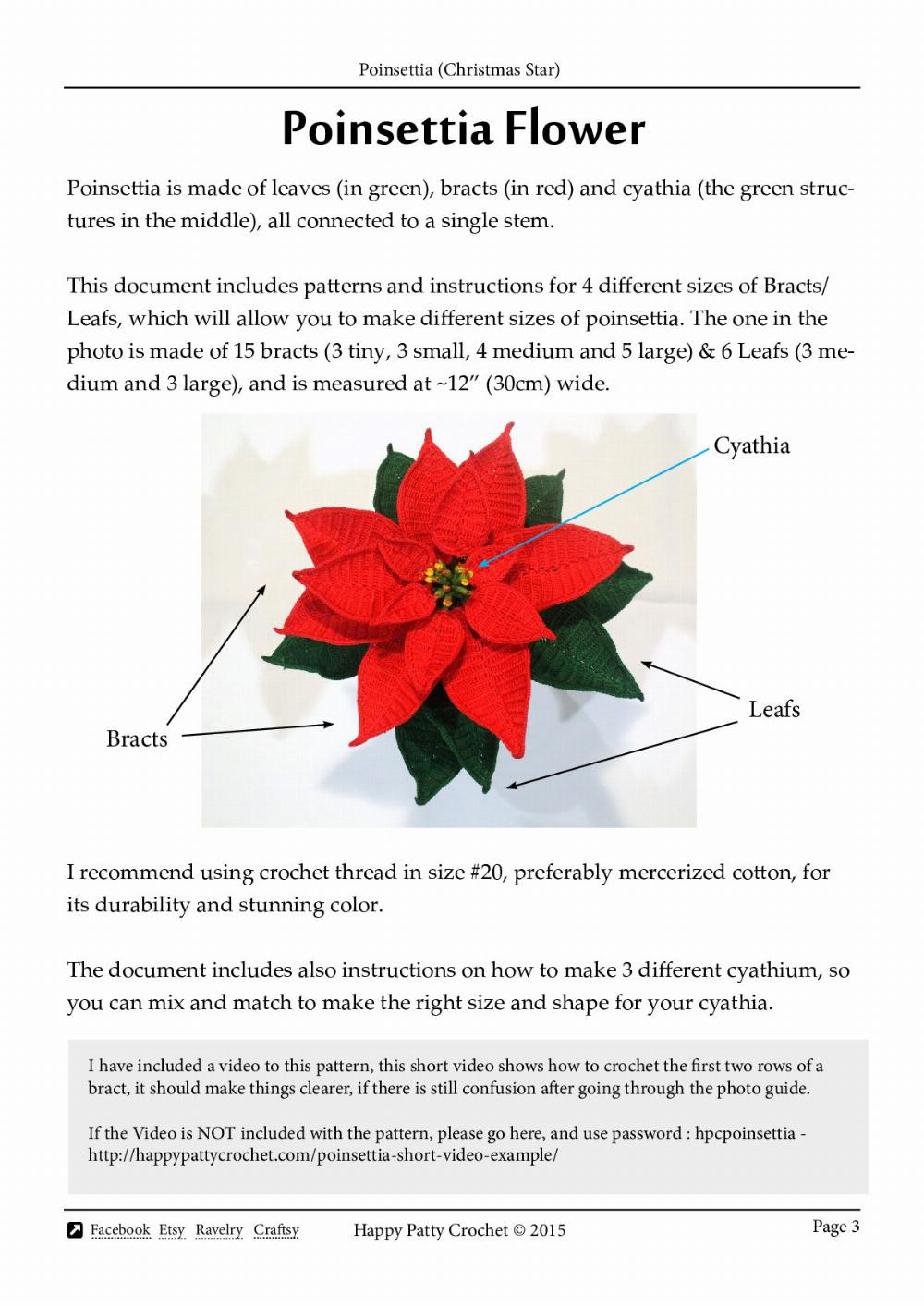 ponsettia christmas star