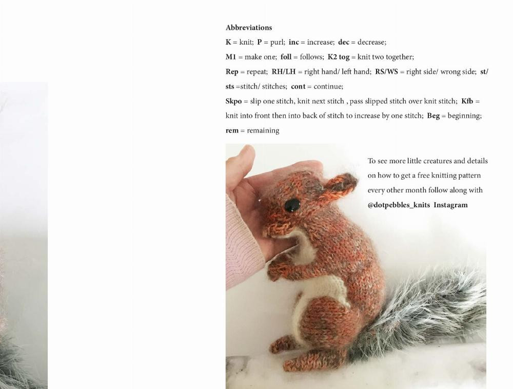 RED SQUIRREL knitting pattern