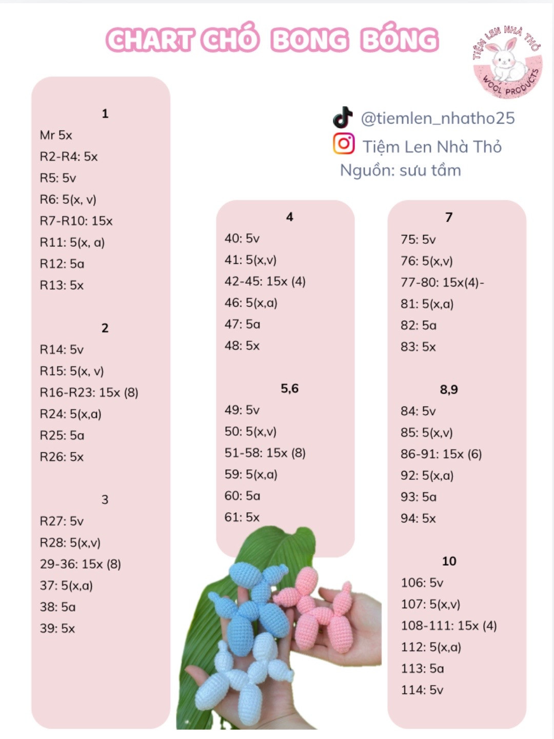 chart chó bong bóng