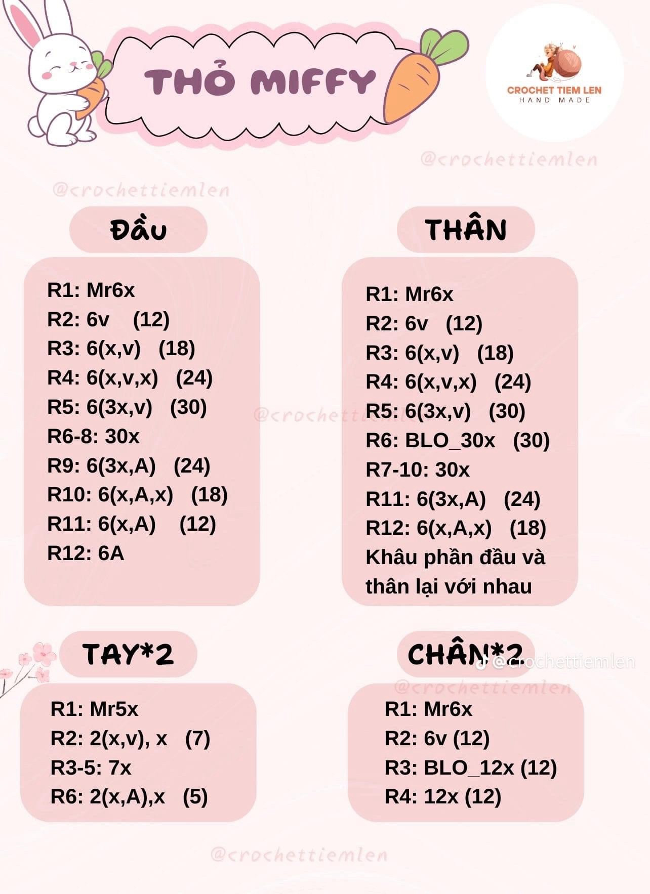 chart sóc ôm hạt dẻ